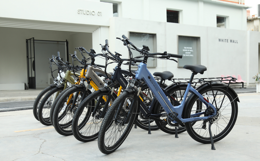 Mokwheel's Guide to Longevity and Safety with Electric Bikes