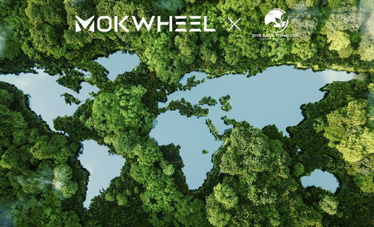 LE MEILLEUR MOMENT POUR PLANTER UN ARBRE EST MAINTENANT - Mokwheel & Give Back to Nature