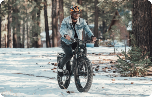 Velo Electrique Fat Bike