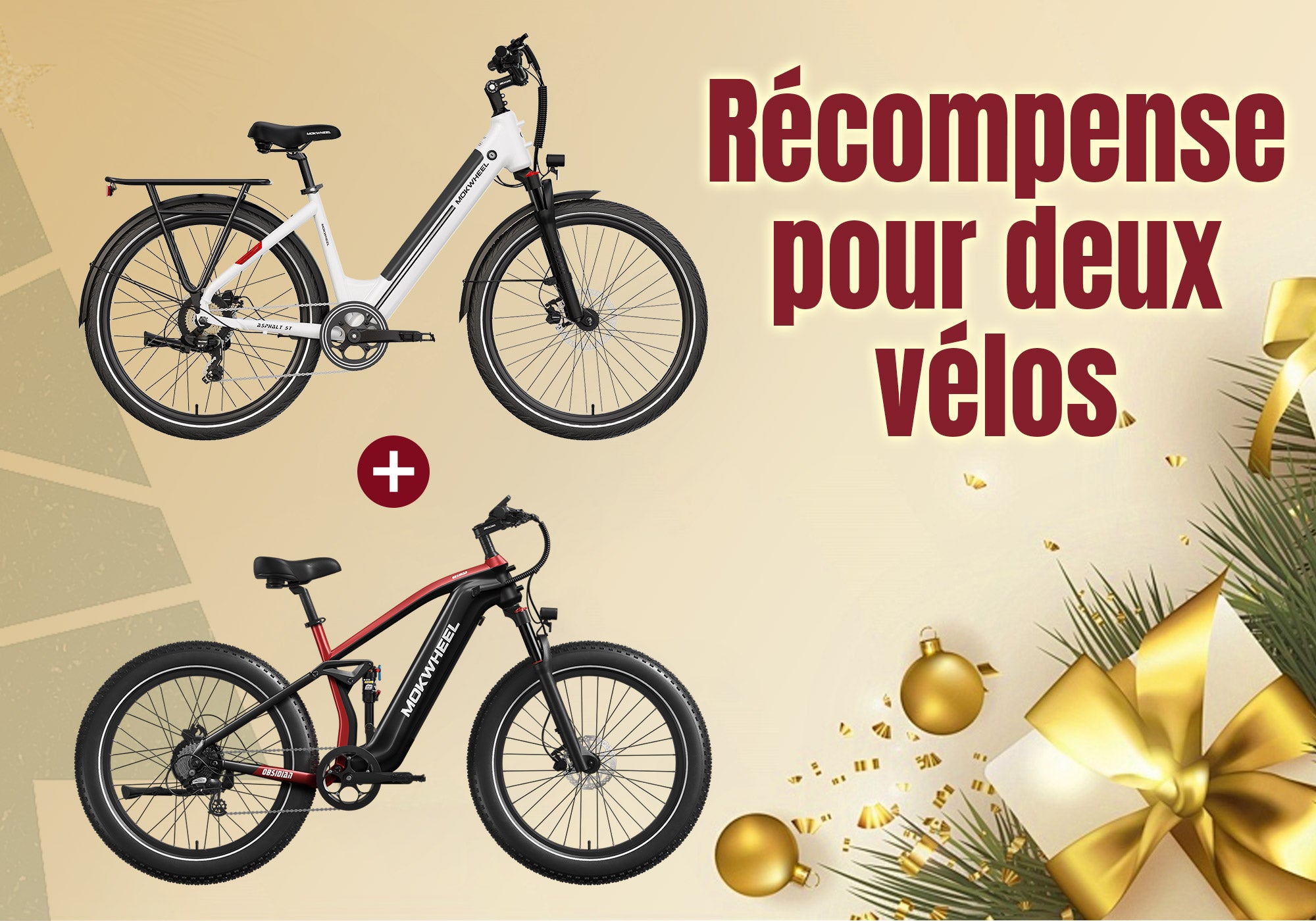 Récompense pour deux vélos